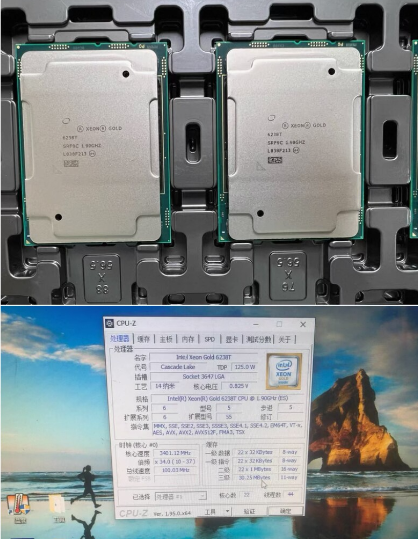 Gold 6248R - 1 unità Xeon Gold 6226 6230